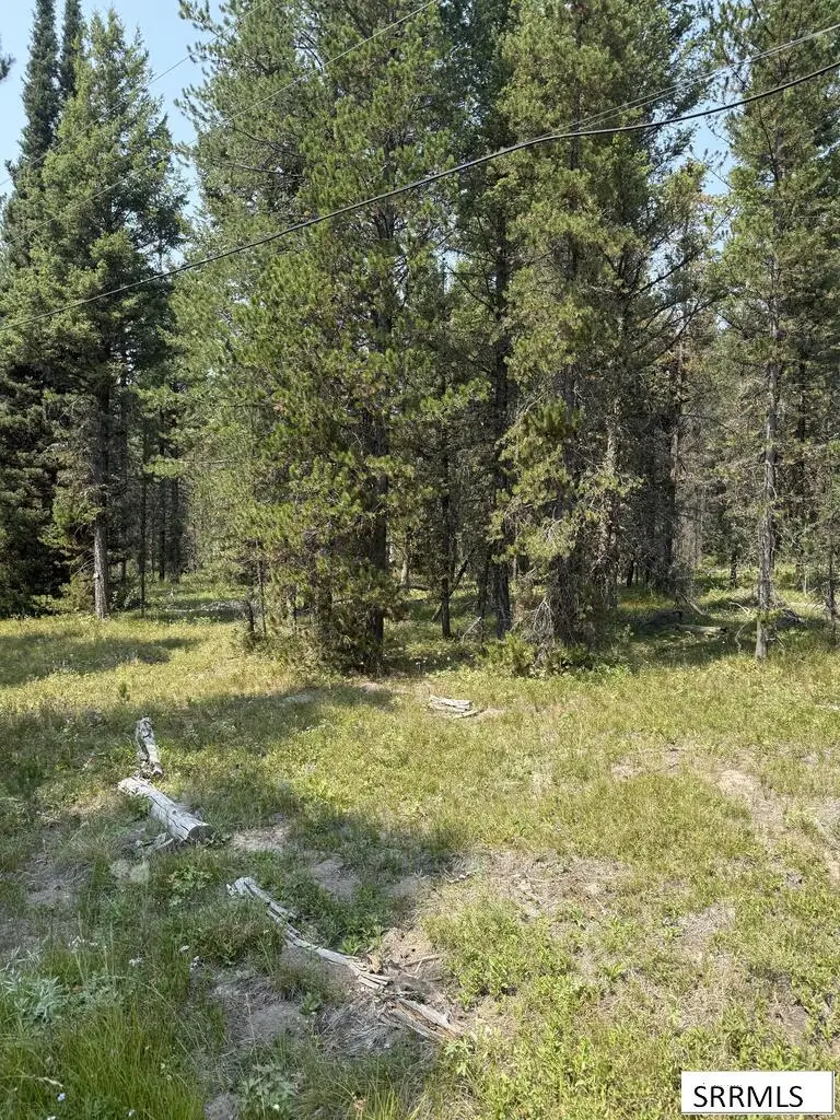 2781 Sagehen Dr, Island Park, ID 83429 - #3