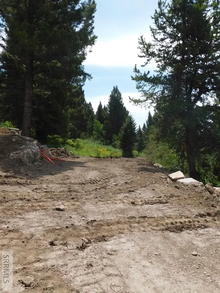 4911 Shadow Wood, Island Park, ID 83429 - #3