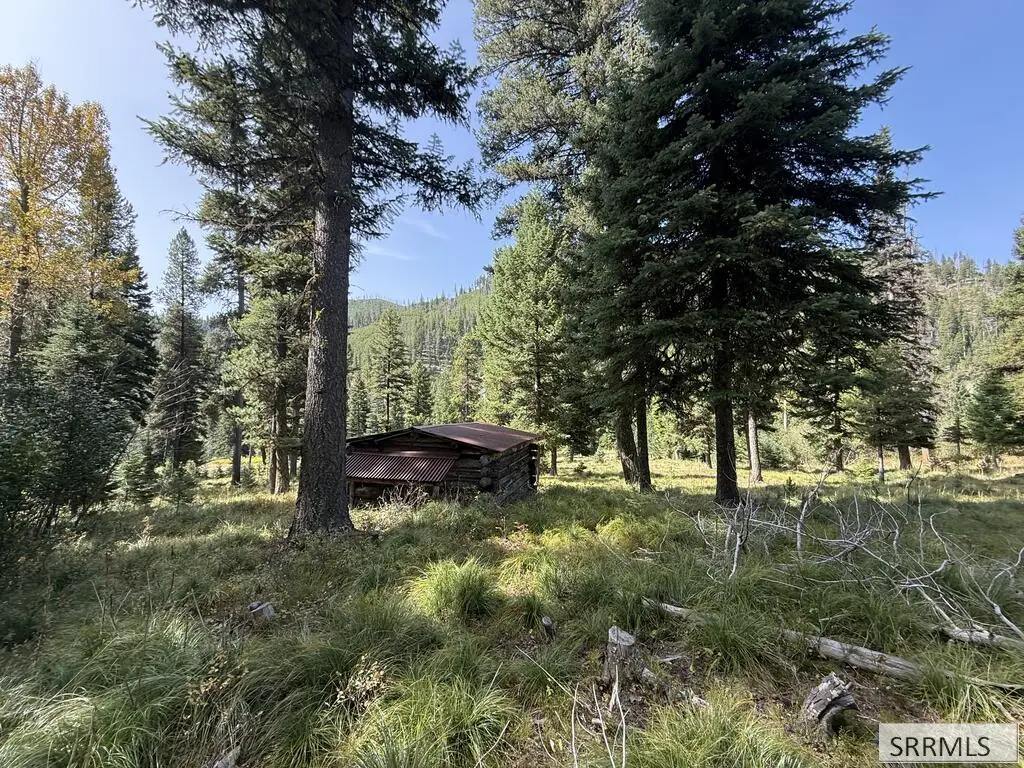 Lot 7 Kokopelli Drive, Gibbonsville, ID 83463 - #1