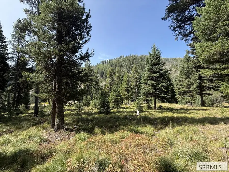 Lot 7 Kokopelli Drive, Gibbonsville, ID 83463 - #2