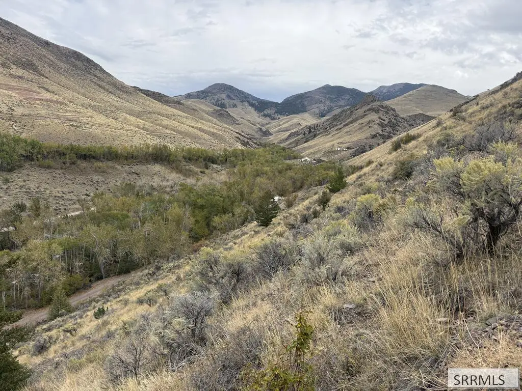 Lot 63&64 Burden Road, Salmon, ID 83467 - #1