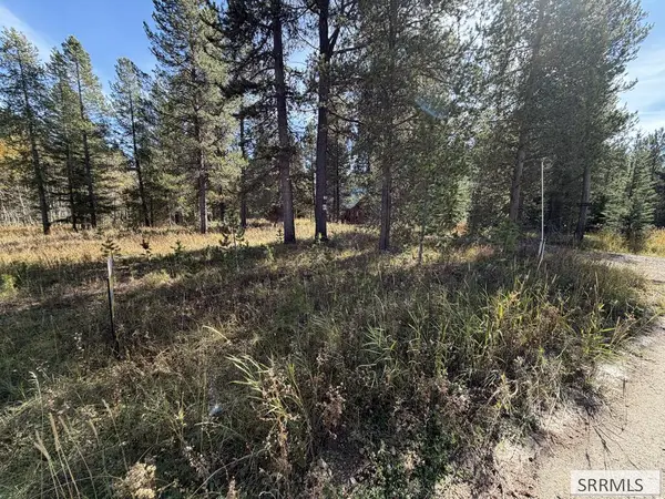 TBD Beaver Drive, ISLAND PARK, ID 83429