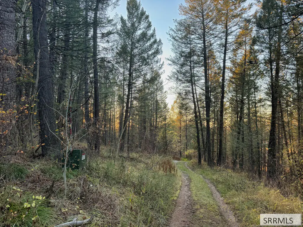185 12250 N, Tetonia, ID 83452 - #1