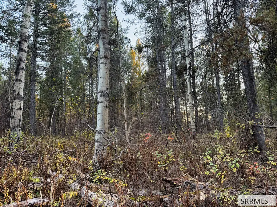 185 12250 N, Tetonia, ID 83452 - #2