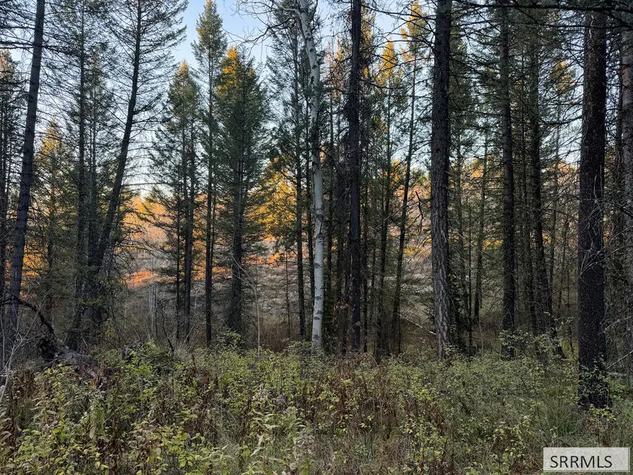 185 12250 N, Tetonia, ID 83452 - #3
