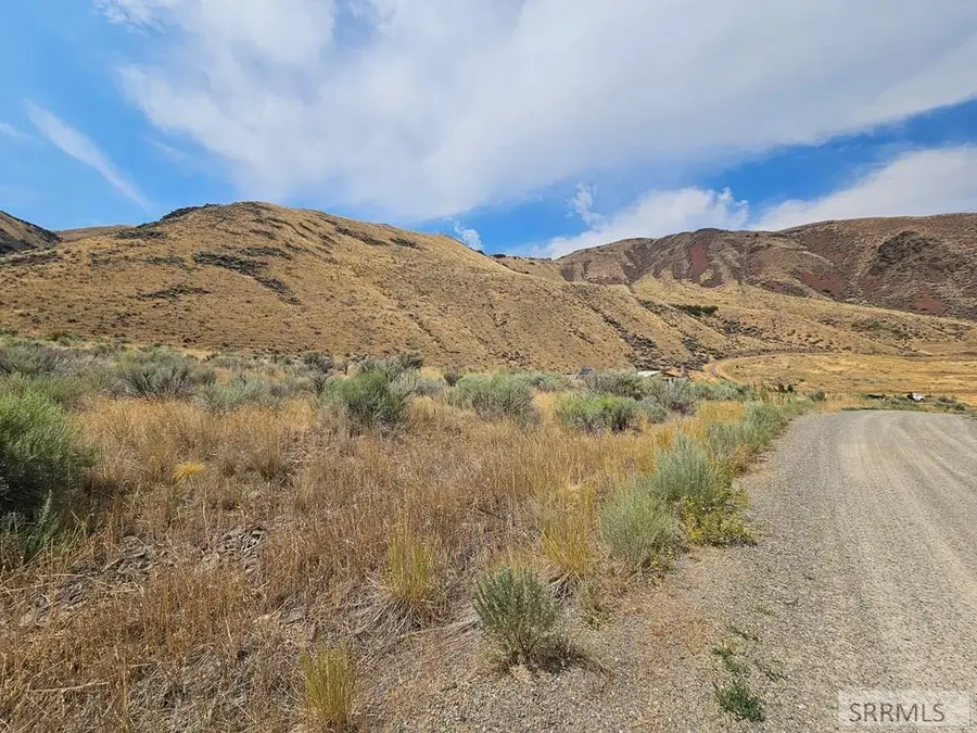 Lot 5-7 Pheasant Road, Salmon, ID 83467 - #3