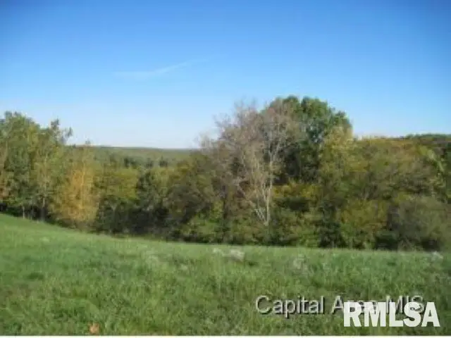 45 Vista Ridge, Petersburg, IL 62675 - Image #1