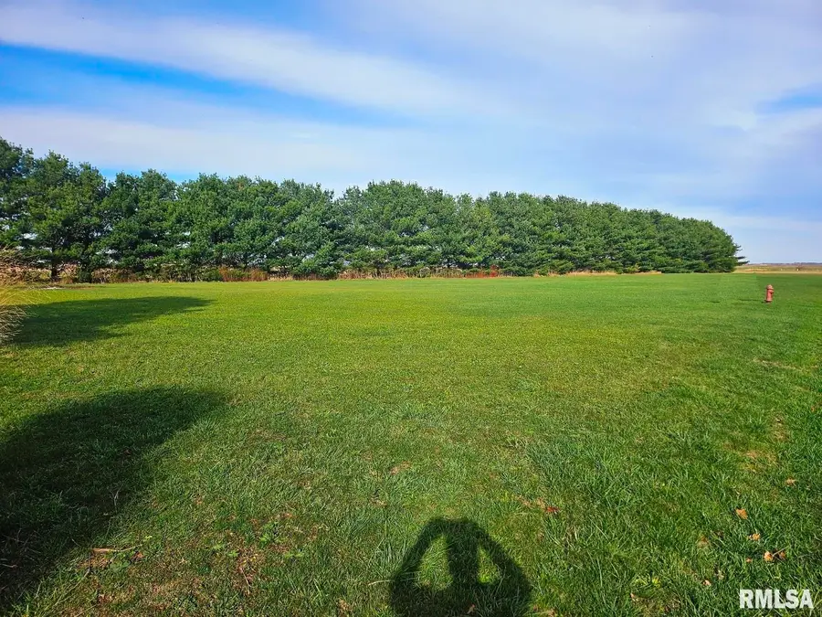 Lots 2-4 Barton Street, Modesto, IL 62667 - Image #3