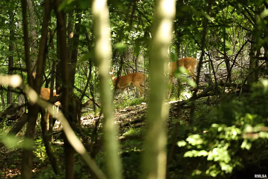 000 205th Street, Kinderhook, IL 62345 - Image #3