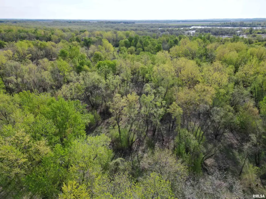 0 Island Lane, Beardstown, IL 62618 - Image #2