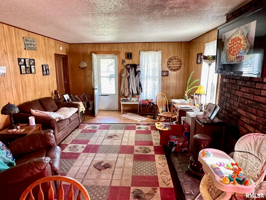 617 Railroad Street, Chapin, IL 62628 - Image #2