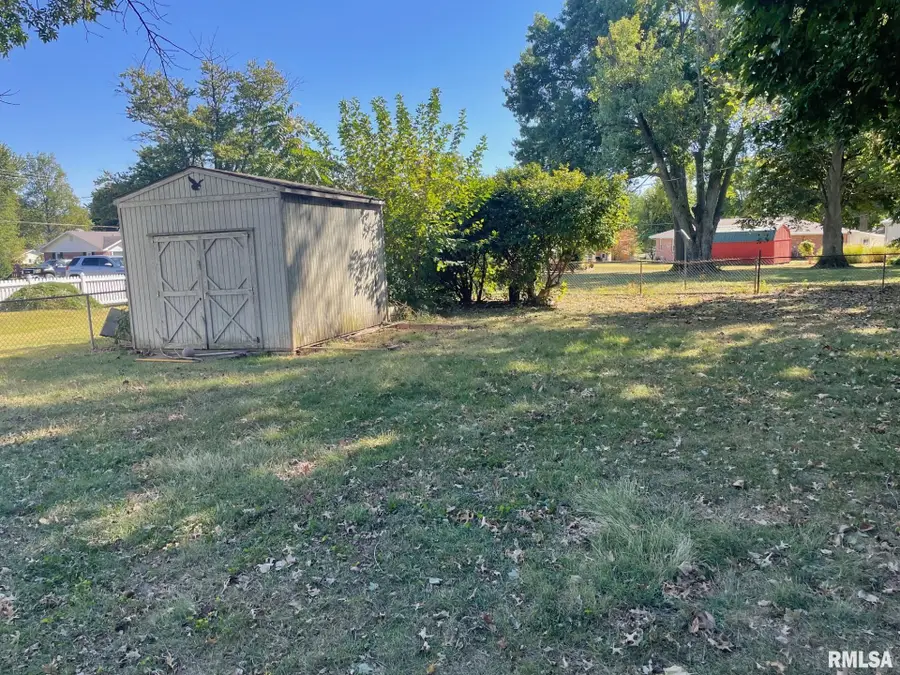 413 W Grant Street, Pittsfield, IL 62363 - Image #3