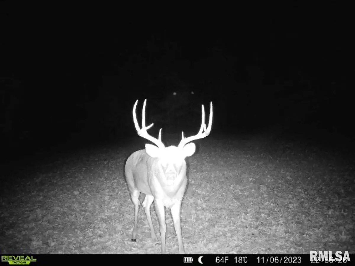 000 Grand Pierre Drive, Golconda, IL 62938 - Image #1