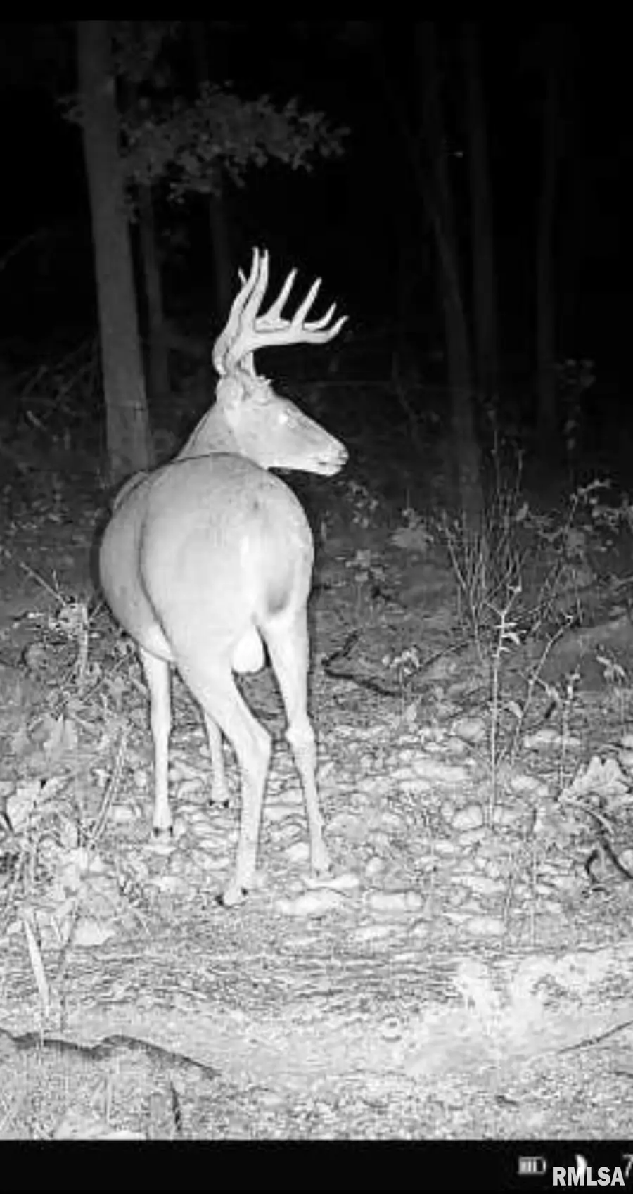 000 Grand Pierre Drive, Golconda, IL 62938 - Image #2