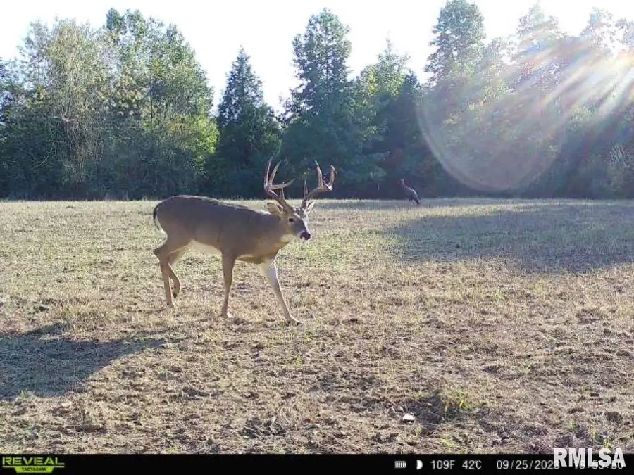 000 Grand Pierre Drive, Golconda, IL 62938 - Image #3