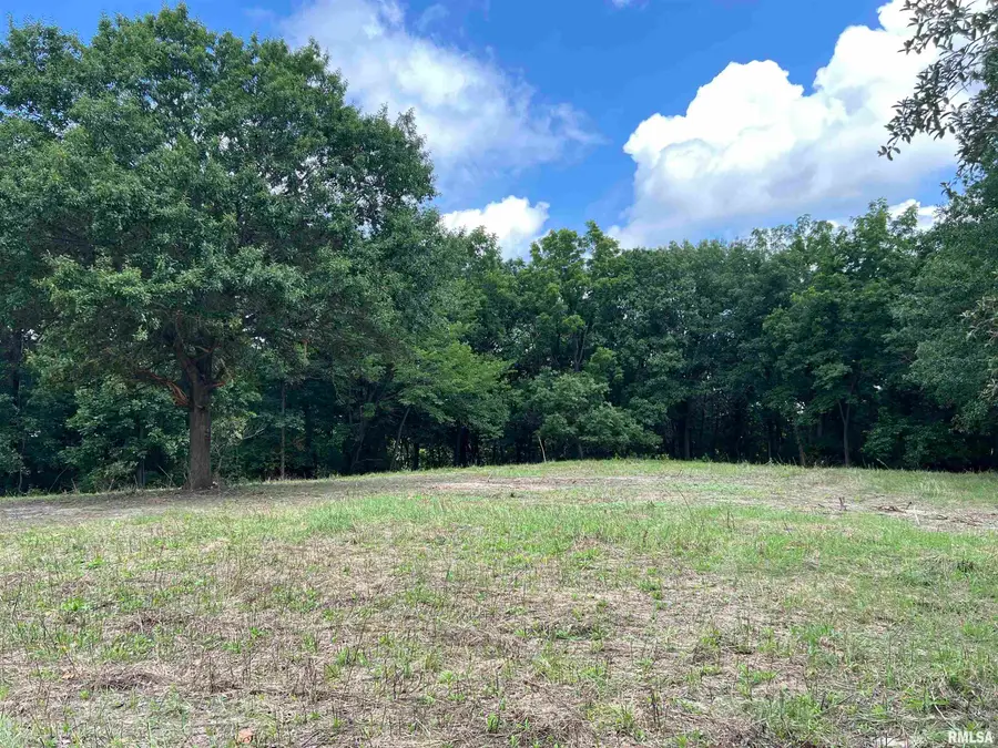 15 N 550th Avenue, Buckhorn, IL 62375 - Image #3