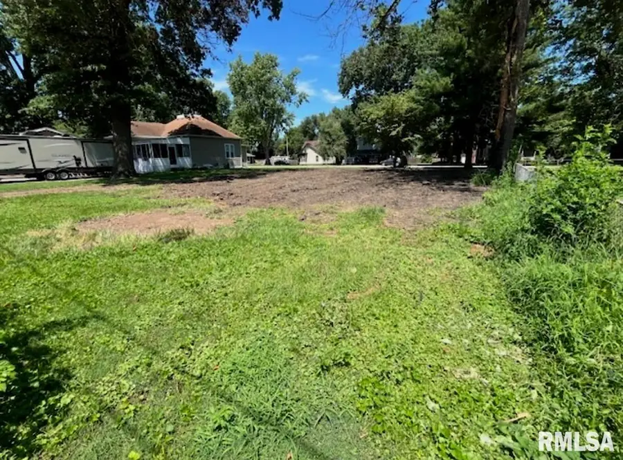 412 W 1st Street, Taylorville, IL 62568 - Image #3