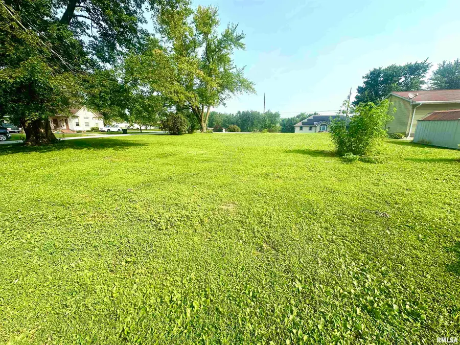 391 W Meadow Street, Pittsfield, IL 62363 - Image #2