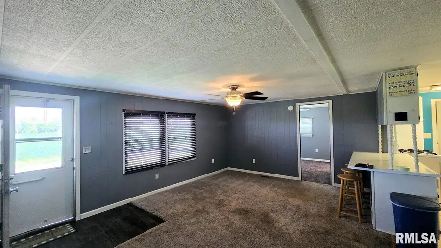 202 Evans Street, Loami, IL 62661 - Image #2