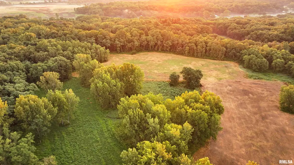 1669 Sherwood Road, Dahinda, IL 61428 - Image #1