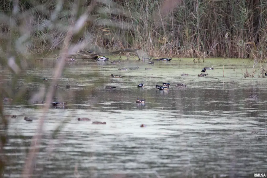 1669 Sherwood Road, Dahinda, IL 61428 - Image #3