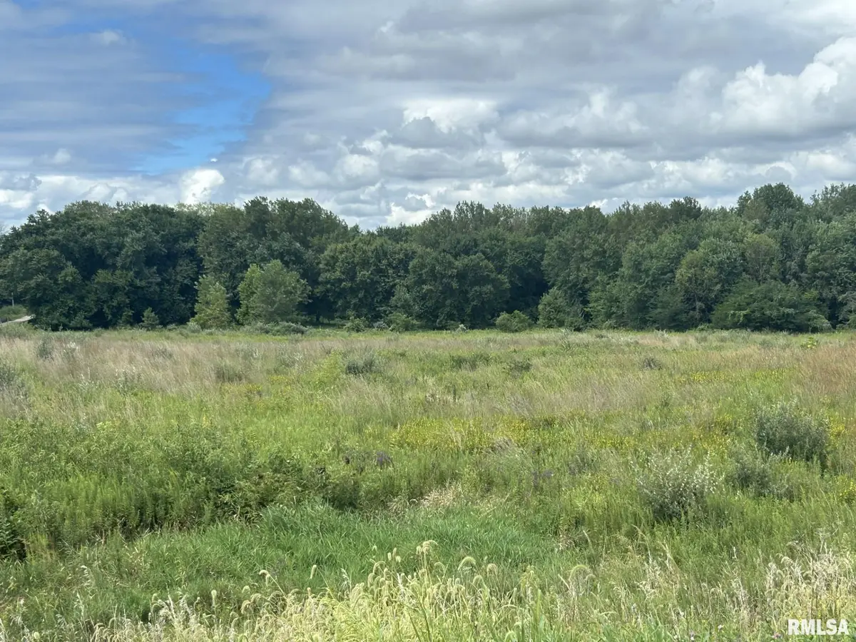 2600 N 800 E Road, Edinburg, IL 62531 - #1