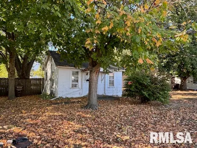 221 N Emmett Street, Virden, IL 62690 - Image #1