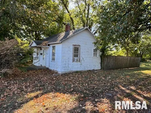 221 N Emmett Street, Virden, IL 62690 - Image #3