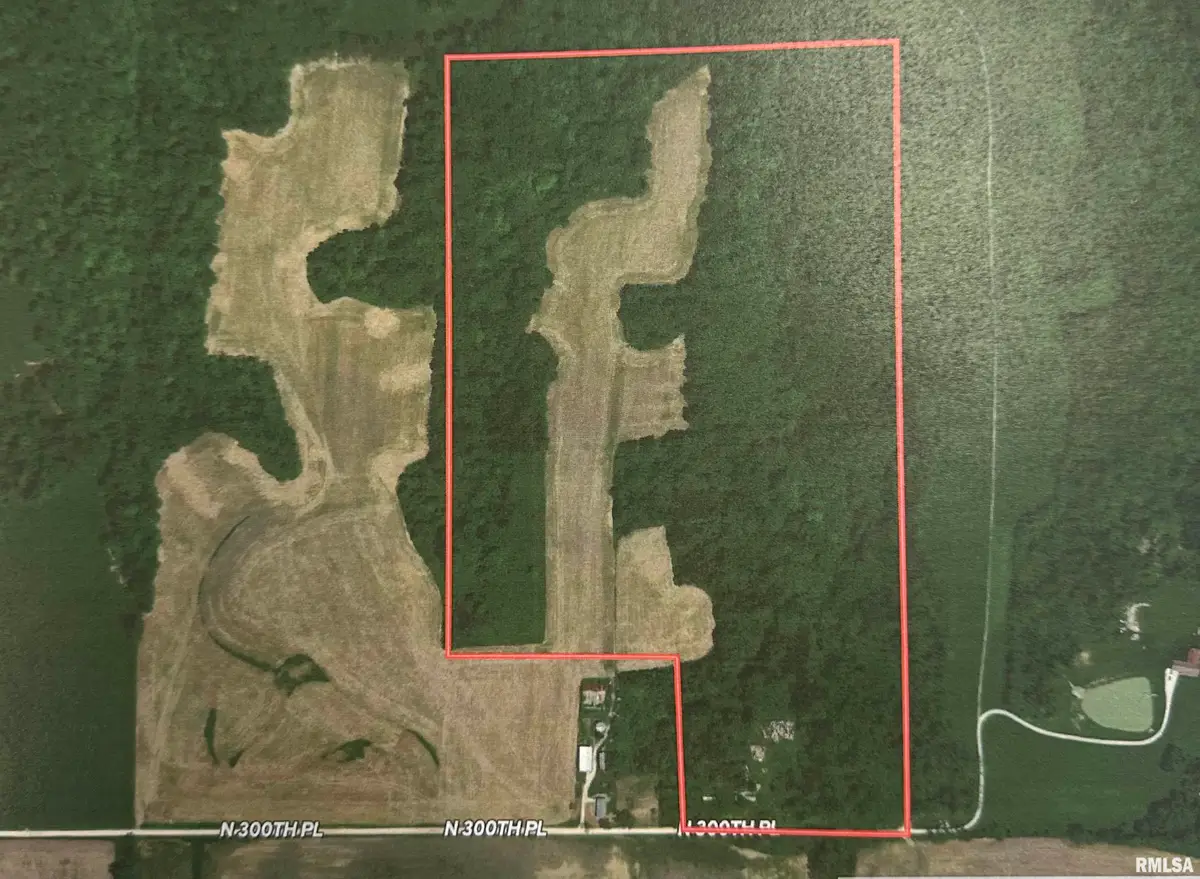 87.12 acres Sec 17 3s 5w, Liberty, IL 62347 - Image #1