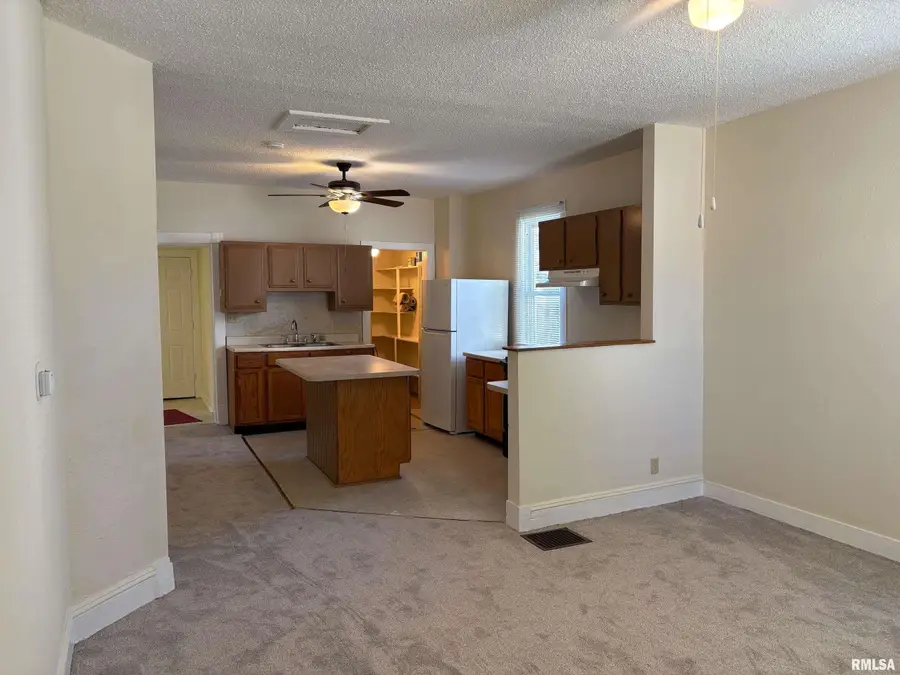 227 Anna Street, Jacksonville, IL 62650 - Image #3