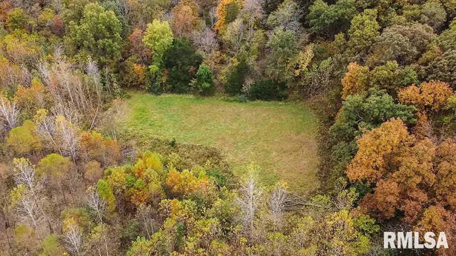 484 Hummingbird Drive, Louisville, IL 62858 - Image #3