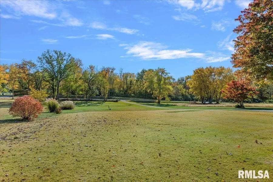 11951 Mechanicsburg Blacktop, Mechanicsburg Township, IL 62545 - Image #3