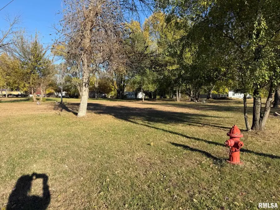 503 Edwards Street, Oquawka, IL 61469 - Image #2