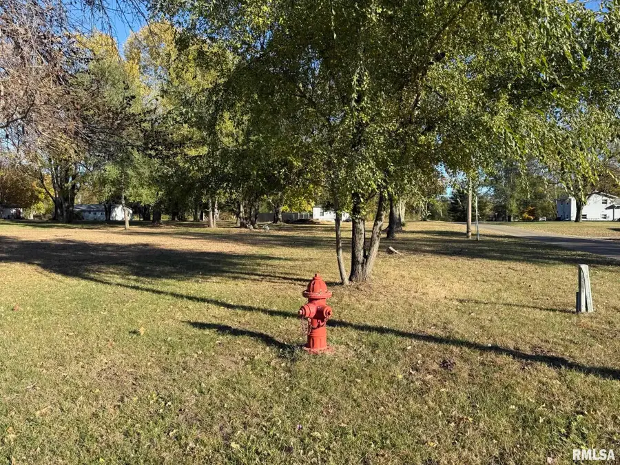 503 Edwards Street, Oquawka, IL 61469 - Image #3