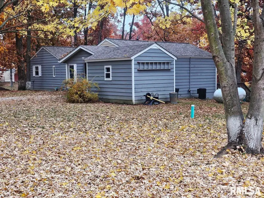 11130 Catatoga Drive, Plainview, IL 62685 - Image #2