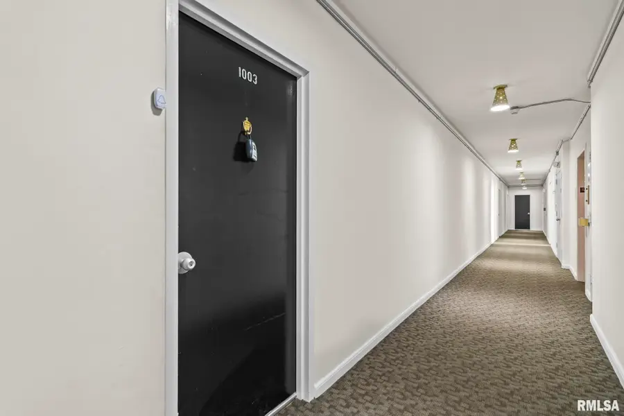 718 S 7th Street #1003, Springfield, IL 62703 - Image #2