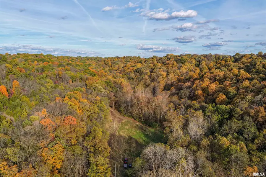 00 Eldred Road, Fieldon, IL 62031 - Image #2