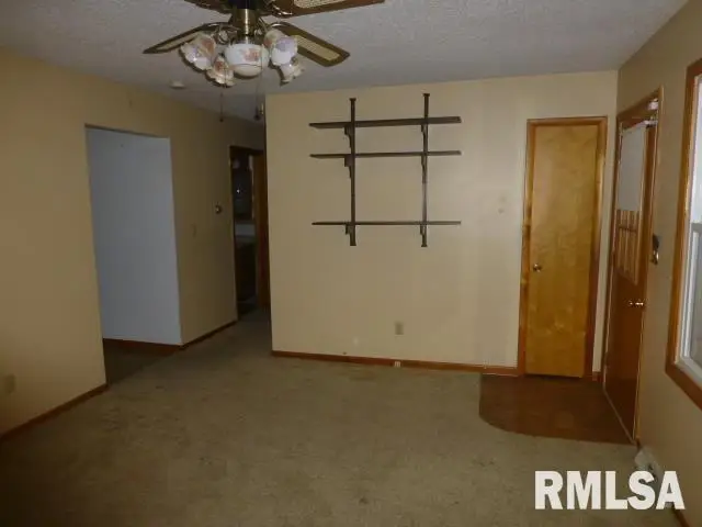 16747 Rock Creek Avenue, Tallula, IL 62688 - #3