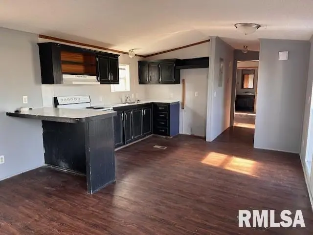 720 Morgan Street, Chapin, IL 62628 - Image #3