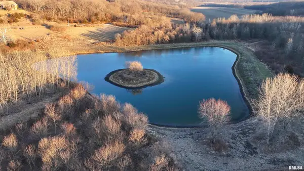 000 N Knox Road, Dahinda, IL 61428-0000