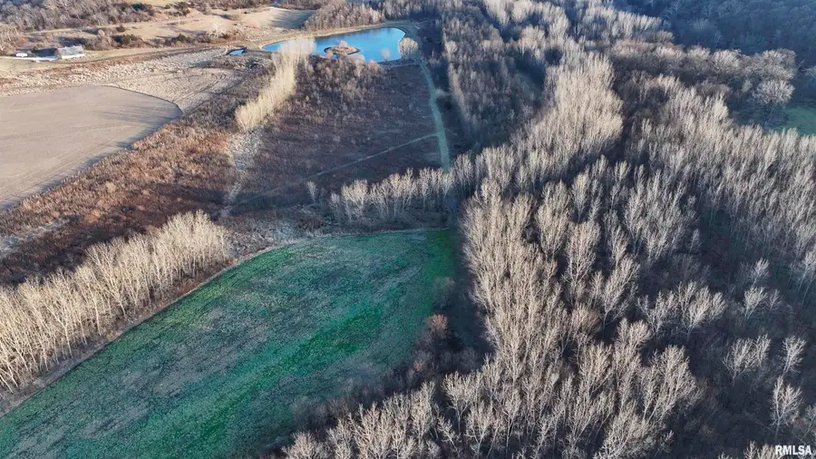 000 N Knox Road, Dahinda, IL 61428-0000 - Image #3