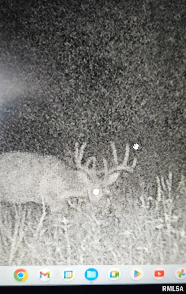 000 State Route 147 Highway, Vienna, IL 62995