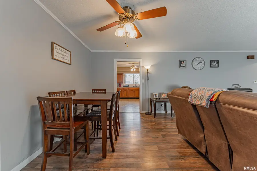 621 N Vine Street, Mount Pulaski, IL 62548 - Image #3