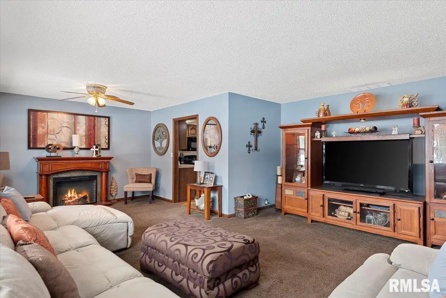 4326 Mary Lane, Riverton, IL 62561 - #3