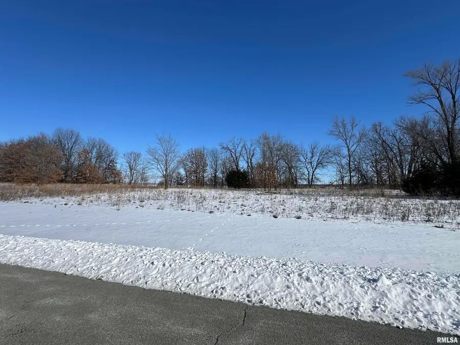 318 Eagle Drive, Meredosia, IL 62665 - Image #3