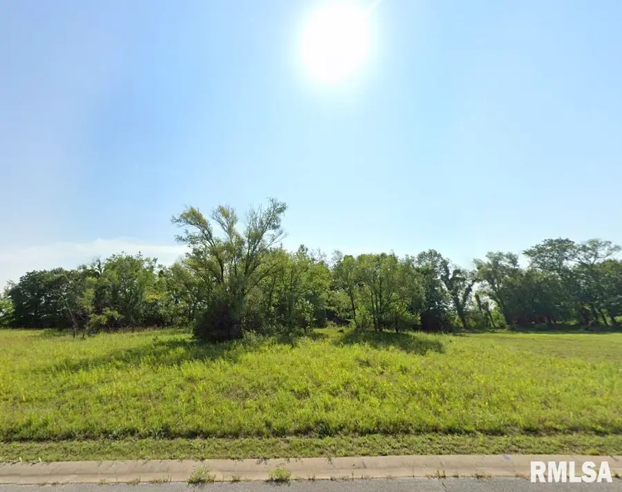 314 Eagle Drive, Meredosia, IL 62665 - Image #2