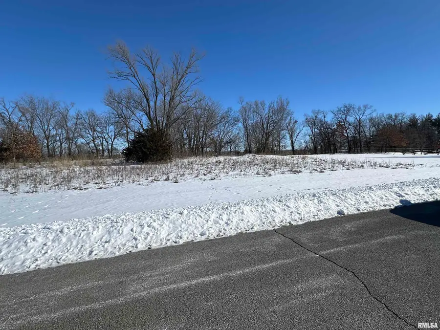 314 Eagle Drive, Meredosia, IL 62665 - Image #3