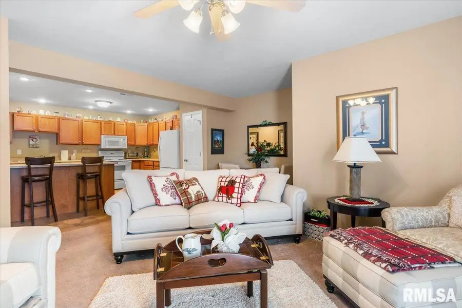 1767 Bilbridge Drive, Chatham, IL 62629 - Image #3