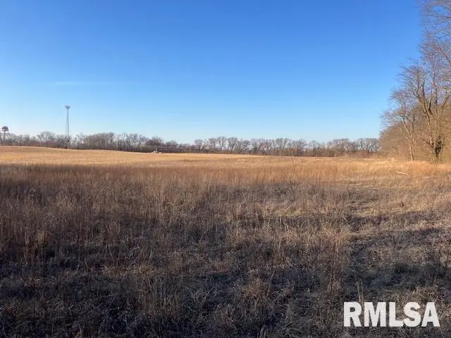 1501 Butternut Street, Keithsburg, IL 61081 - #2