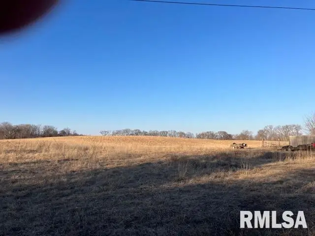 1501 Butternut Street, Keithsburg, IL 61081 - #3